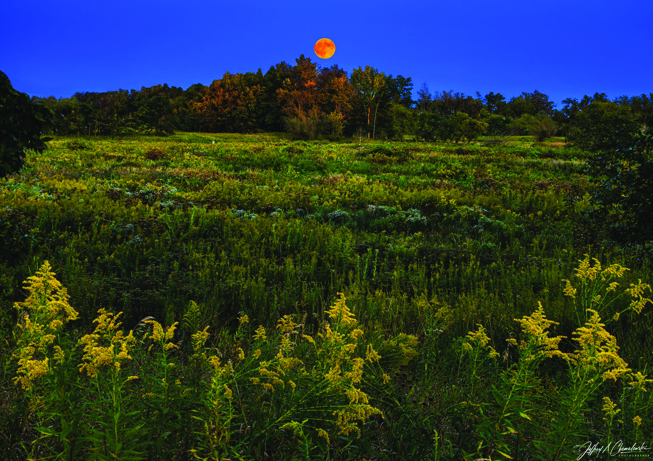 Moon over Flint Creek Savanna Preserve. Photo by Jeff Chemelewski.